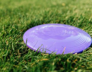 discs 1