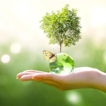 environment