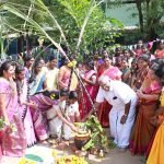 pongal